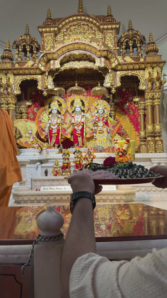 Energised Honey Money Bracelet - 10x Stronger (Energised from Prachin Iskon Temple Delhi)